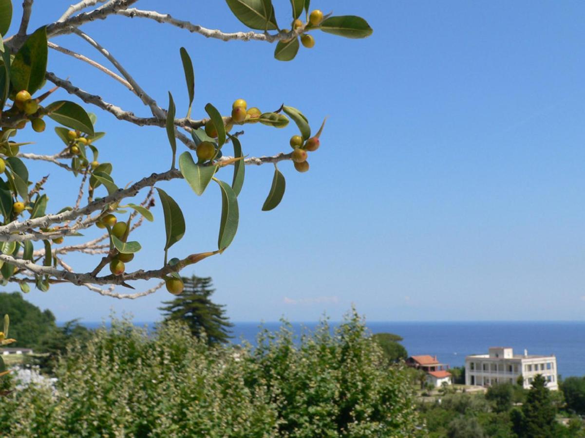 Hotel La Maggioressa Casamicciola Terme ภายนอก รูปภาพ