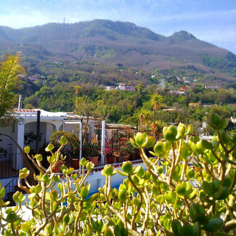 Hotel La Maggioressa Casamicciola Terme ภายนอก รูปภาพ